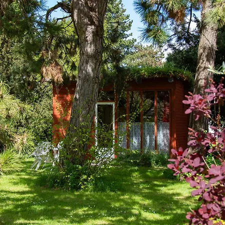 Rose 2* Beauvoir (Manche)