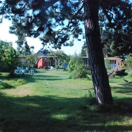 Rose Hotel Beauvoir (Manche)