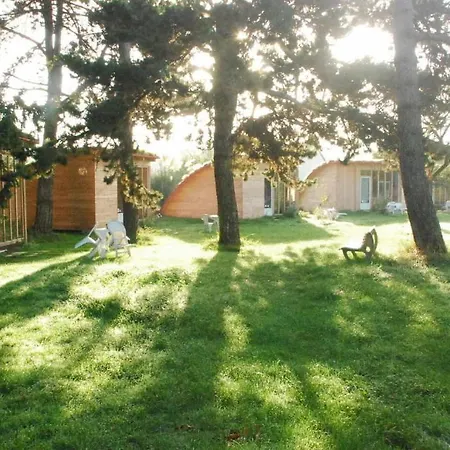 Rose 2* Beauvoir (Manche)