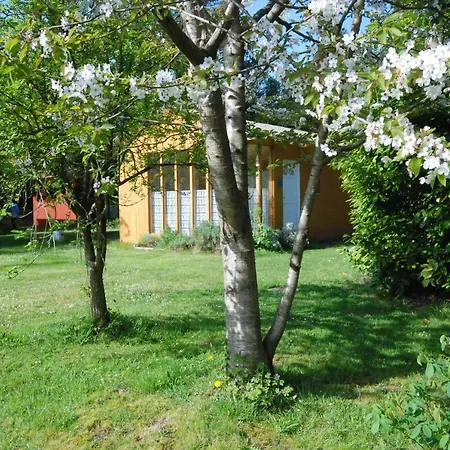Rose Hotel Beauvoir (Manche)