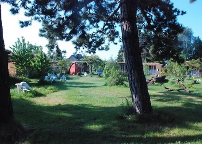 Rose Hotel Beauvoir (Manche)