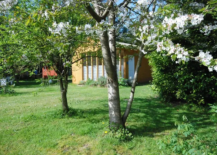 Rose Hotel Beauvoir (Manche)